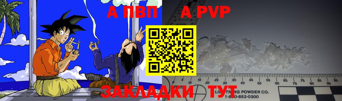 A PVP СК КРИС Бийск