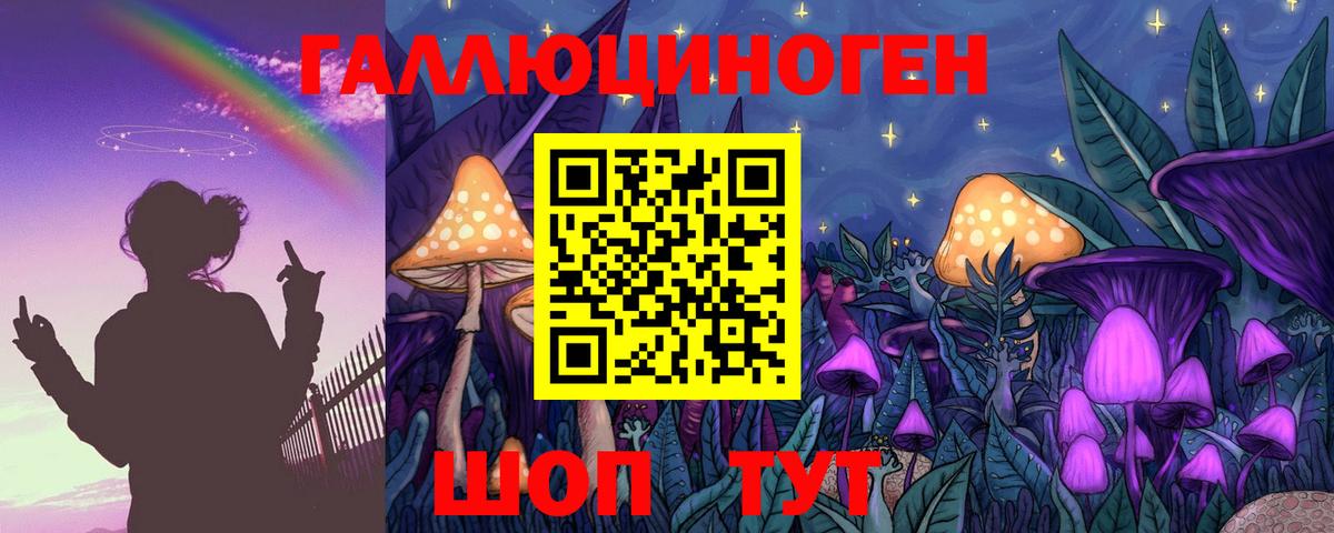 Галлюциногенные грибы MAGIC MUSHROOMS  Вход с VPN  Бийск 