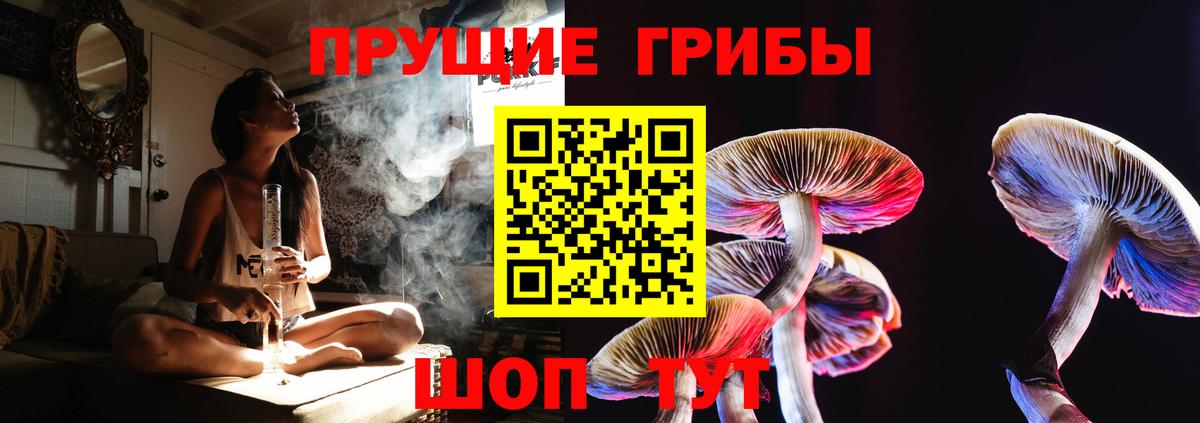 Псилоцибиновые грибы GOLDEN TEACHER Бийск
